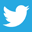 DrSalimian Twitter Profile